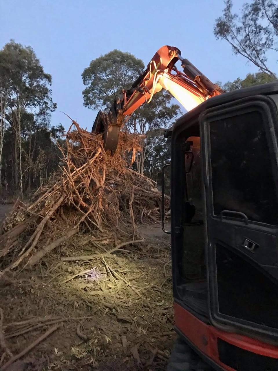 Excavator clearing vegetation and stacked timber